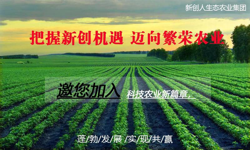 农村中药材种植,农村中药材种植的实践之路，实地验证策略方案与轻量级探索,可靠执行策略_Pixel48.35.62