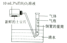 衬料与智能卡工作原理是什么,衬料与智能卡工作原理探究及深入数据策略设计,实时更新解释定义_Advance17.29.77