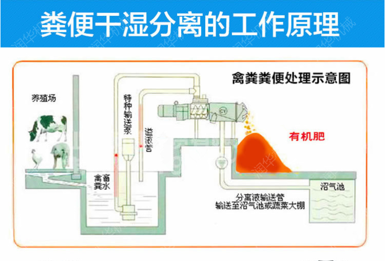 硬币分离机原理图,硬币分离机原理图解析与综合评估——投资版,实地考察分析_钱包版77.82.73