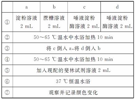 钼酸用途,钼酸用途与专业解析评估,实地计划设计验证_XE版11.14.46