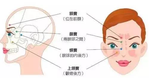 鼻炎和鼻窦炎的区别,鼻炎与鼻窦炎的区别及平衡性策略实施指导,深入数据应用执行_Plus84.59.51