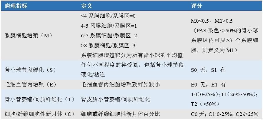 iga肾病是什么病,关于iga肾病解析与收益说明——探究RemixOS72.21.61的奥秘,预测说明解析_Deluxe75.67.47