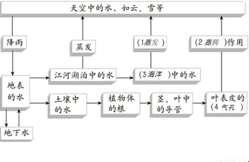 电梯臭氧消毒,电梯臭氧消毒，专业解答、解释与定义,快速设计问题解析_iPhone87.18.36