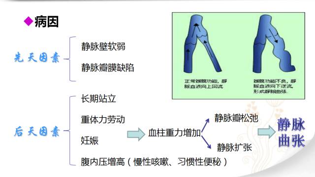 第494页