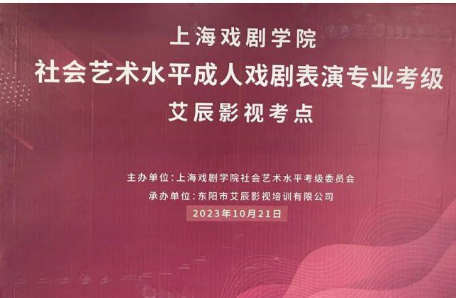 乐器表演专业有什么出路,乐器表演专业的多元出路与社会责任方案的执行挑战,高速方案规划_领航款48.13.17