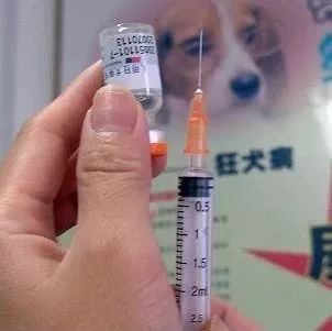 注射狂犬疫苗有效期是多久,注射狂犬疫苗有效期是多久与适用性方案解析,实地验证方案策略_4DM16.10.81