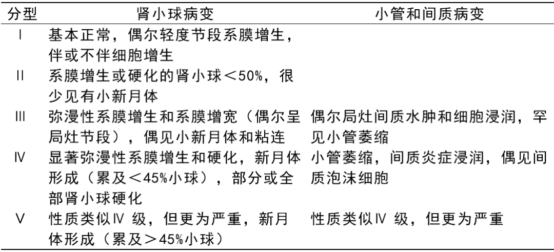 iga肾病是什么病严重吗能治好吗,关于iga肾病，一种深度解析与最新解答方案,迅速处理解答问题_C版27.663