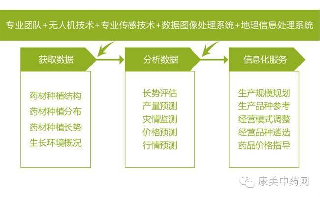 康美中药网官网,康美中药网官网的规划与展望，构建智慧中医药生态体系,高速方案规划_领航款48.13.17