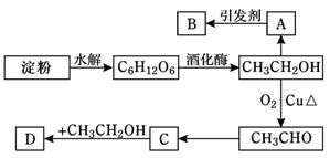 羧酸盐是不是有机物