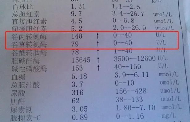 谷丙转氨酶高是怎么回事