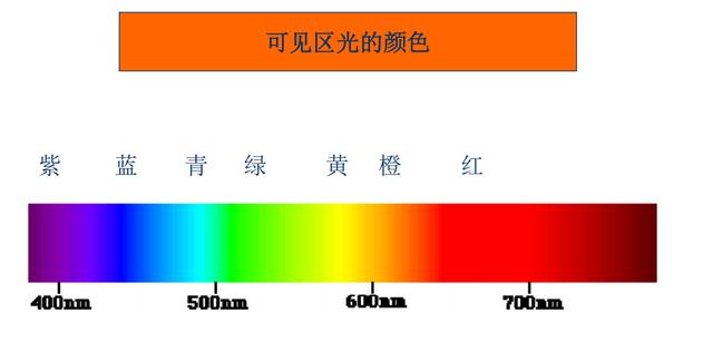 厨房用的紫外线灯