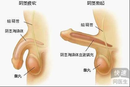 阳萎医院那家好