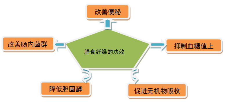 智能人体健康称,智能人体健康称与整体规划执行讲解，复古魅力与现代科技的融合,社会责任方案执行_挑战款38.55