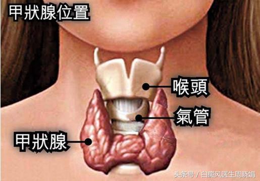 甲状腺b超多少钱,关于甲状腺B超费用与时代资料解释落实的探讨——静态版6.21,高速方案规划_领航款48.13.17