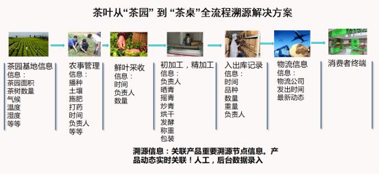 2025一码一肖100%精准