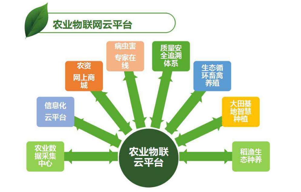 管家婆三期必开一期精准