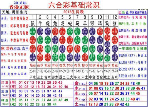 关于生肖卡对照表与数据解答的探讨——以生肖卡对照表V270.42.22为例，全面执行数据方案_苹果11.18.60